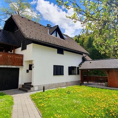 Apartment Alpska Astra クランスカゴーラ エクステリア 写真