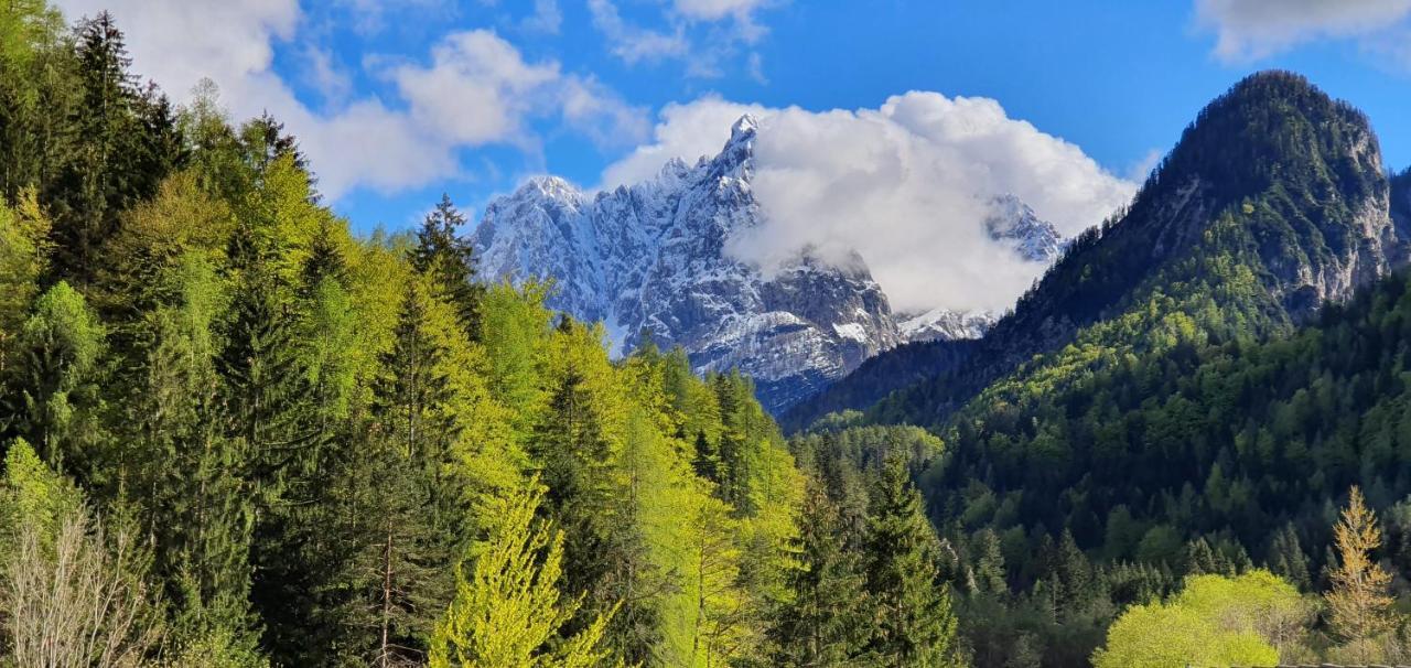 Apartment Alpska Astra クランスカゴーラ エクステリア 写真