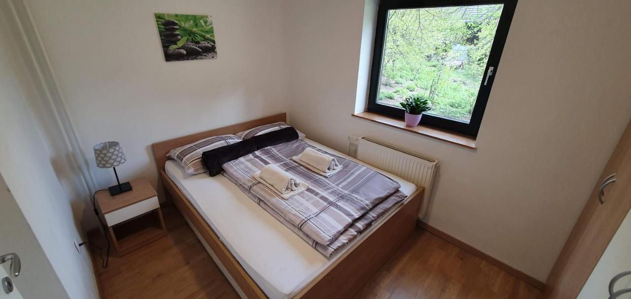 Apartment Alpska Astra クランスカゴーラ エクステリア 写真