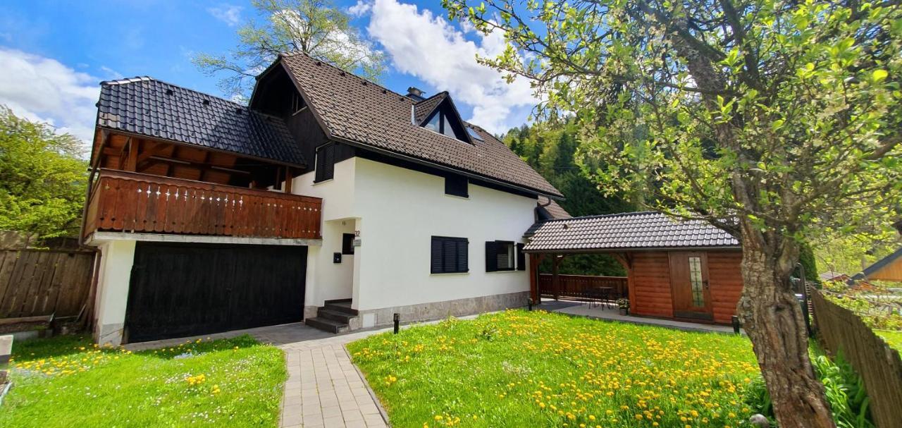 Apartment Alpska Astra クランスカゴーラ エクステリア 写真
