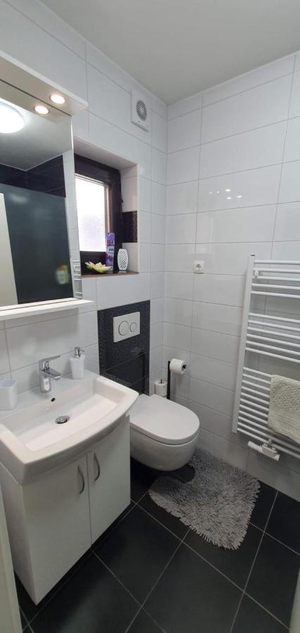 Apartment Alpska Astra クランスカゴーラ エクステリア 写真