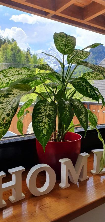 Apartment Alpska Astra クランスカゴーラ エクステリア 写真